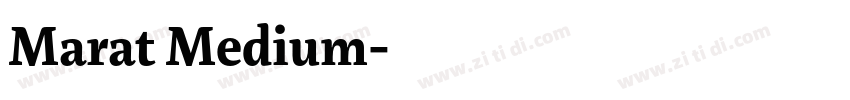 Marat Medium字体转换